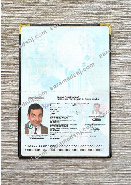 Kyrgyzstan passport photo look